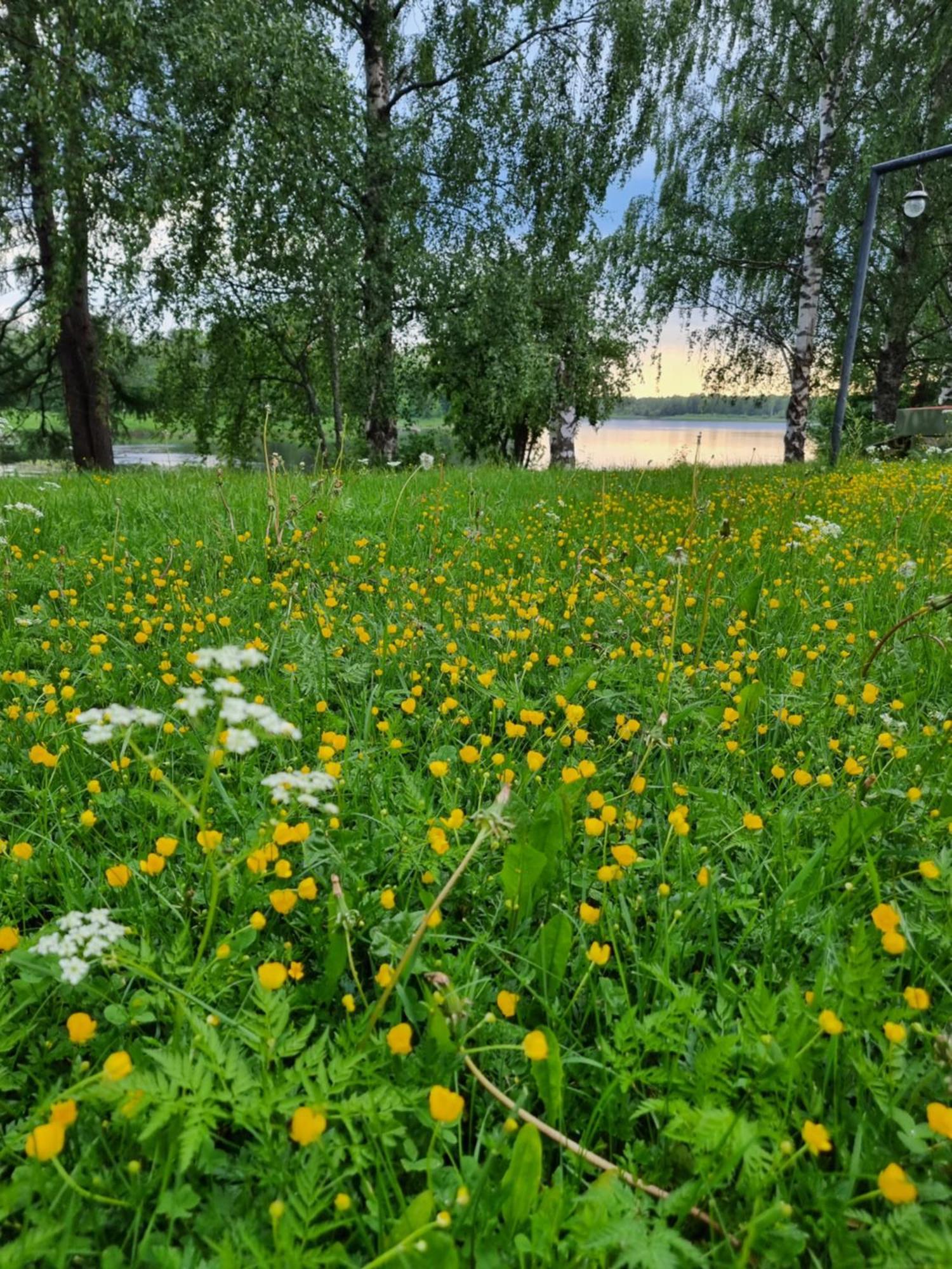 Wanha Kunnantalo Apartment Pudasjarvi Bagian luar foto